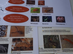  <a style='color: #fff;' href='/uploaded/photo/rendez-vous-au-jardin-60bd0a82985d9.jpg'>(Télécharger)</a>