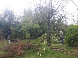  <a style='color: #fff;' href='/uploaded/photo/sauvetage-de-herissons-a-sannois-17-mars-2019-5c9cded2093d0.jpg'>(Télécharger)</a>