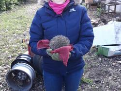  <a style='color: #fff;' href='/uploaded/photo/sauvetage-de-herissons-a-sannois-17-mars-2019-5c9cdee0d3142.jpg'>(Télécharger)</a>