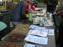 Différents paillages réalisés par le service des espaces verts de la ville ... <a style='color: #fff;' href='/uploaded/photo/serd-ateliers-tri-et-compost-54709fcadb37c.jpg'>(Télécharger)</a>