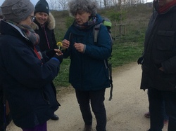  <a style='color: #fff;' href='/uploaded/photo/sortie-botanique-2-avril-2022-624ebec7b3452.jpg'>(Télécharger)</a>