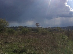  <a style='color: #fff;' href='/uploaded/photo/sortie-botanique-2-avril-2022-624ebec7d0181.jpg'>(Télécharger)</a>