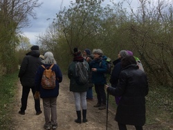  <a style='color: #fff;' href='/uploaded/photo/sortie-botanique-2-avril-2022-624ebec9a58ea.jpg'>(Télécharger)</a>