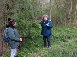  <a style='color: #fff;' href='/uploaded/photo/sortie-botanique-2-avril-2022-624ebecbb7c2d.jpg'>(Télécharger)</a>