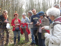  <a style='color: #fff;' href='/uploaded/photo/sortie-botanique-du-11-mars-2017-59b8df404c3d9.jpg'>(Télécharger)</a>