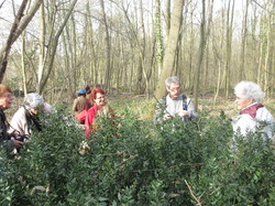  <a style='color: #fff;' href='/uploaded/photo/sortie-botanique-du-11-mars-2017-59b8df412afa8.jpg'>(Télécharger)</a>