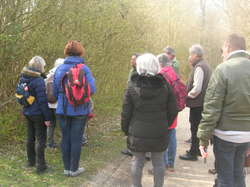  <a style='color: #fff;' href='/uploaded/photo/sortie-botanique-en-foret-de-st-germain-5ca237625dc33.jpg'>(Télécharger)</a>