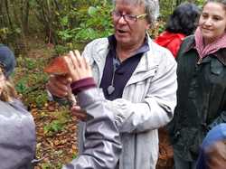  <a style='color: #fff;' href='/uploaded/photo/sortie-champignons-5d9f62316353e.jpg'>(Télécharger)</a>