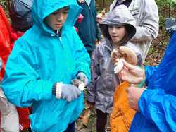  <a style='color: #fff;' href='/uploaded/photo/sortie-champignons-5d9f623375554.jpg'>(Télécharger)</a>