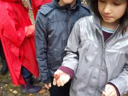  <a style='color: #fff;' href='/uploaded/photo/sortie-champignons-5d9f623398b6d.jpg'>(Télécharger)</a>