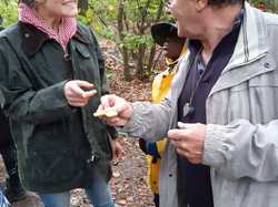  <a style='color: #fff;' href='/uploaded/photo/sortie-champignons-5d9f6234de861.jpg'>(Télécharger)</a>