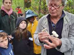  <a style='color: #fff;' href='/uploaded/photo/sortie-champignons-5d9f6235be4a7.jpg'>(Télécharger)</a>