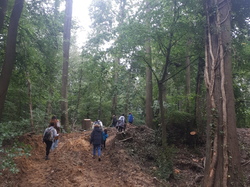  <a style='color: #fff;' href='/uploaded/photo/sortie-champignons-61570894e6dbd.jpg'>(Télécharger)</a>