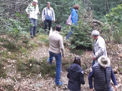  <a style='color: #fff;' href='/uploaded/photo/sortie-champignons-615708a0c766c.jpg'>(Télécharger)</a>