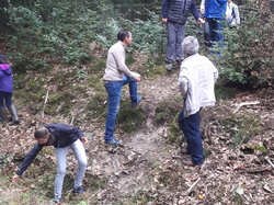  <a style='color: #fff;' href='/uploaded/photo/sortie-champignons-615708a0efa32.jpg'>(Télécharger)</a>