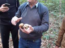  <a style='color: #fff;' href='/uploaded/photo/sortie-champignons-en-fory-t-de-marly-652d9f6148f39.jpg'>(Télécharger)</a>