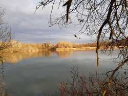  <a style='color: #fff;' href='/uploaded/photo/sortie-oiseaux-659dbbd63b6a1.jpg'>(Télécharger)</a>