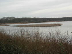  <a style='color: #fff;' href='/uploaded/photo/sortie-ornitho-5e1f184890c67.jpg'>(Télécharger)</a>