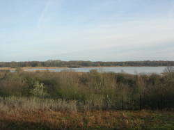  <a style='color: #fff;' href='/uploaded/photo/sortie-ornitho-5e1f1848f02b0.jpg'>(Télécharger)</a>