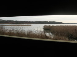  <a style='color: #fff;' href='/uploaded/photo/sortie-ornitho-5e1f18490c09b.jpg'>(Télécharger)</a>