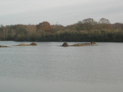  <a style='color: #fff;' href='/uploaded/photo/sortie-ornitho-5e1f18493f63d.jpg'>(Télécharger)</a>