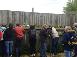  <a style='color: #fff;' href='/uploaded/photo/sortie-ornitho-du-28-avril-2018-5ae837634c4bd.jpg'>(Télécharger)</a>