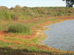  <a style='color: #fff;' href='/uploaded/photo/sortie-ornitho-du-29-septembre-2018-5bb72ac17de81.jpg'>(Télécharger)</a>