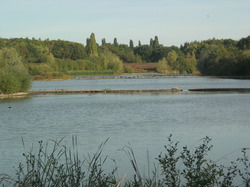  <a style='color: #fff;' href='/uploaded/photo/sortie-ornitho-du-29-septembre-2018-5bb72ac189160.jpg'>(Télécharger)</a>