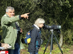  <a style='color: #fff;' href='/uploaded/photo/sortie-ornitho-du-9-sept-2017-59b8de291a072.jpg'>(Télécharger)</a>