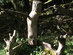  <a style='color: #fff;' href='/uploaded/photo/sortie-ornitho-du-9-sept-2017-59ba440f789ff.jpg'>(Télécharger)</a>