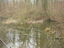  <a style='color: #fff;' href='/uploaded/photo/sortie-ornithologique-20-mars-2016-56fbf8b629913.jpg'>(Télécharger)</a>