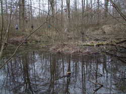  <a style='color: #fff;' href='/uploaded/photo/sortie-ornithologique-20-mars-2016-56fbf8d3d0769.jpg'>(Télécharger)</a>