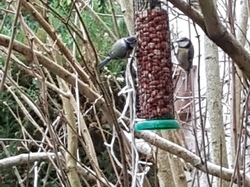  <a style='color: #fff;' href='/uploaded/photo/un-jardin-en-hiver-601d5e6235129.jpg'>(Télécharger)</a>