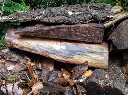  <a style='color: #fff;' href='/uploaded/photo/un-jardin-en-hiver-601d5ed9f18e3.jpg'>(Télécharger)</a>