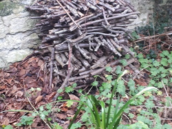  <a style='color: #fff;' href='/uploaded/photo/un-jardin-en-hiver-601d5edbd7642.jpg'>(Télécharger)</a>