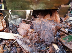 Abri à hérisson <a style='color: #fff;' href='/uploaded/photo/un-jardin-en-hiver-601d5f4475eb1.jpg'>(Télécharger)</a>