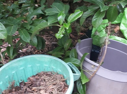 Réserve de matières sèches pour le compost <a style='color: #fff;' href='/uploaded/photo/un-jardin-en-hiver-601d5f6b8be91.jpg'>(Télécharger)</a>