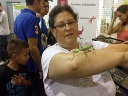 au stand de l'OPIE, magnifique phasme
 <a style='color: #fff;' href='/uploaded/photo/village-des-assos-carrieres-522ca698f2295.jpg'>(Télécharger)</a>