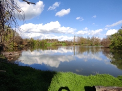  <a style='color: #fff;' href='/uploaded/photo/visie-arboretum-de-chevreloup-6253f9a004550.jpg'>(Télécharger)</a>