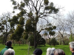  <a style='color: #fff;' href='/uploaded/photo/visie-arboretum-de-chevreloup-6253f9a0d2c20.jpg'>(Télécharger)</a>