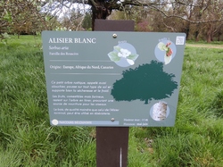  <a style='color: #fff;' href='/uploaded/photo/visie-arboretum-de-chevreloup-6253f9ab1d98f.jpg'>(Télécharger)</a>