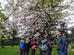  <a style='color: #fff;' href='/uploaded/photo/visie-arboretum-de-chevreloup-6253f9bb0e186.jpg'>(Télécharger)</a>