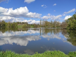  <a style='color: #fff;' href='/uploaded/photo/visie-arboretum-de-chevreloup-6253f9d4ba871.jpg'>(Télécharger)</a>