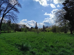  <a style='color: #fff;' href='/uploaded/photo/visie-arboretum-de-chevreloup-6253f9f541779.jpg'>(Télécharger)</a>