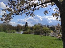  <a style='color: #fff;' href='/uploaded/photo/visie-arboretum-de-chevreloup-6253f9fe50773.jpg'>(Télécharger)</a>