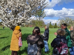  <a style='color: #fff;' href='/uploaded/photo/visie-arboretum-de-chevreloup-6253f9ff423c8.jpg'>(Télécharger)</a>