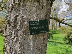  <a style='color: #fff;' href='/uploaded/photo/visie-arboretum-de-chevreloup-6253fa04ee527.jpg'>(Télécharger)</a>