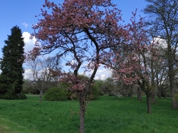  <a style='color: #fff;' href='/uploaded/photo/visie-arboretum-de-chevreloup-6253fa056de5b.jpg'>(Télécharger)</a>