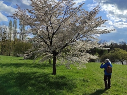  <a style='color: #fff;' href='/uploaded/photo/visie-arboretum-de-chevreloup-6253fa0b84eb2.jpg'>(Télécharger)</a>