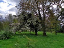  <a style='color: #fff;' href='/uploaded/photo/visie-arboretum-de-chevreloup-6253fa0d414ba.jpg'>(Télécharger)</a>